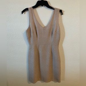 Forever 21, Sparkly Short Sleeve Dress